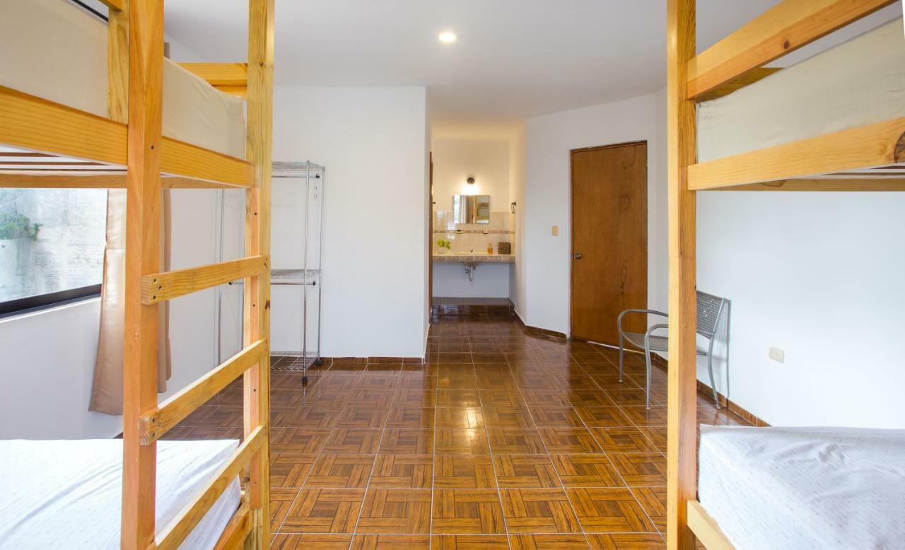 Casa Flamingo Apartment Valladolid  Ngoại thất bức ảnh